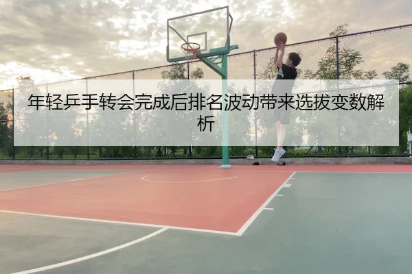 年轻乒手转会完成后排名波动带来选拔变数解析（FIFA）